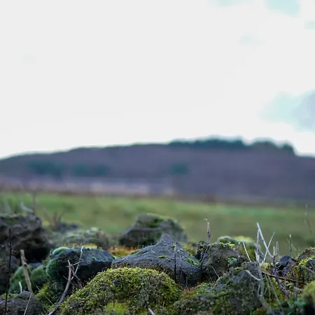 Apartmán Kelbergerly Hills *