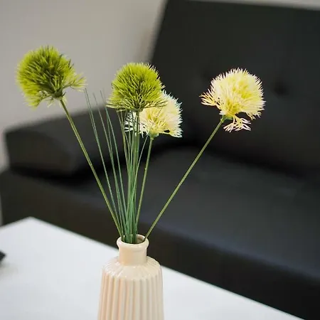 Kelbergerly Hills Apartmán *