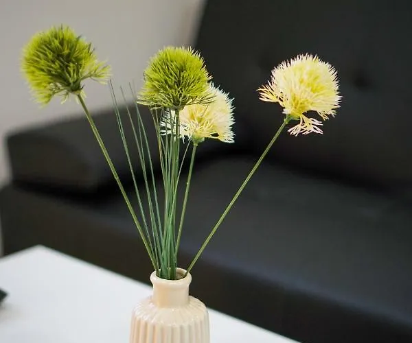 Kelbergerly Hills Apartament *