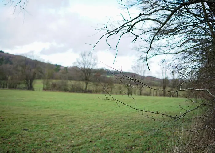 Apartament Kelbergerly Hills *